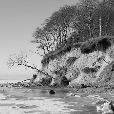 Daire Appartementhaus Moewe Haus Moewe - 2 